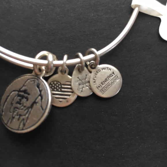 🆕Alex and Ani Ellen Fund Gorilla Bracelet & cards - Picture 4 of 8